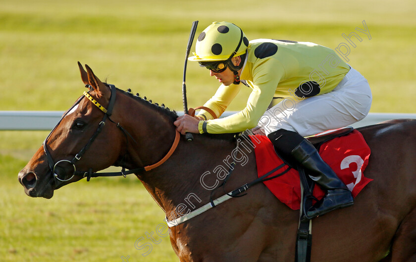 Elite-Status-0001 
 ELITE STATUS (Clifford Lee) wins The Racehorse Lotto National Stakes
Sandown 25 May 2023 - Pic Steven Cargill / Racingfotos.com