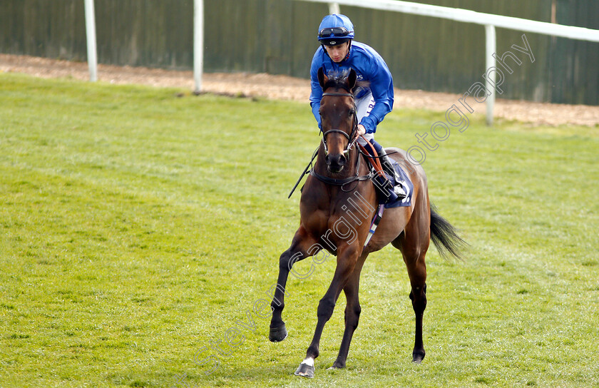 Quiet-Place-0002 
 QUIET PLACE (Oisin Murphy)
Yarmouth 23 Apr 2019 - Pic Steven Cargill / Racingfotos.com