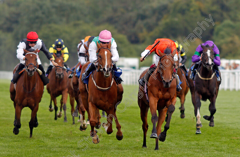 Nell-Quickly-0002 
 NELL QUICKLY (right, Cieren Fallon) beats MAYTAL (centre) in The British EBF Premier Fillies Handicap
Salisbury 12 Aug 2021 - Pic Steven Cargill / Racingfotos.com