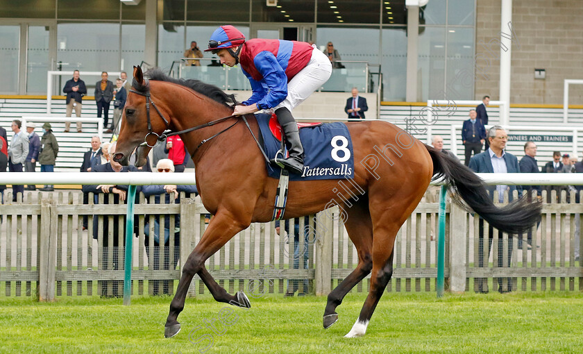 Military-0001 
 MILITARY (Ryan Moore)
Newmarket 28 Sep 2023 - Pic Steven Cargill / Racingfotos.com