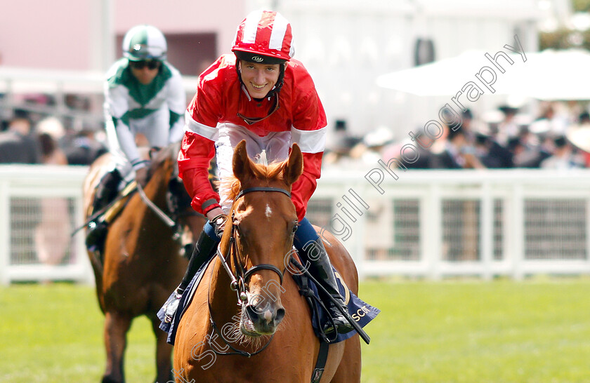 Daahyeh-0009 
 DAAHYEH (David Egan) after The Albany Stakes
Royal Ascot 21 Jun 2019 - Pic Steven Cargill / Racingfotos.com