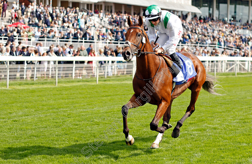 Youth-Spirit-0001 
 YOUTH SPIRIT (Tom Marquand)
York 18 Aug 2021 - Pic Steven Cargill / Racingfotos.com