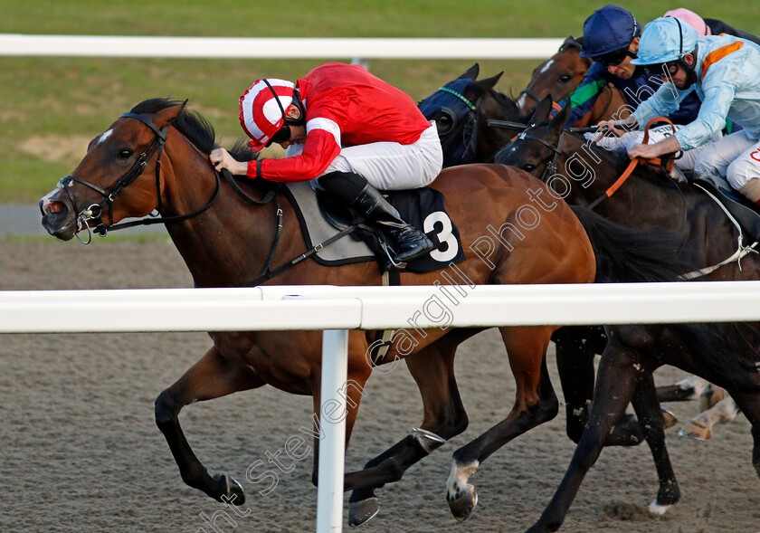 Final-Rendezvous-0002 
 FINAL RENDEZVOUS (Callum Shepherd)
Chelmsford 3 Jun 2021 - Pic Steven Cargill / Racingfotos.com