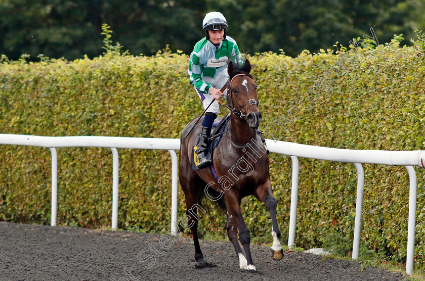 Northern-Blaze-0001 
 NORTHERN BLAZE (Daniel Muscutt)
Kempton 28 Aug 2024 - Pic Steven Cargill / Racingfotos.com