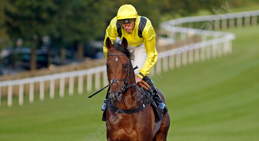 Terwada-0009 
 TERWADA (James Doyle) winner of The Every Race Live On Racing TV Handicap
Newmarket 28 Jul 2023 - Pic Steven Cargill / Racingfotos.com