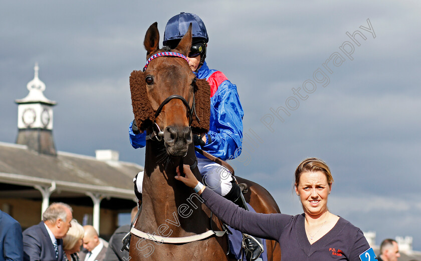 Clever-Cookie-0001 
 CLEVER COOKIE (Graham Lee) Doncaster 15 Sep 2017 - Pic Steven Cargill / Racingfotos.com