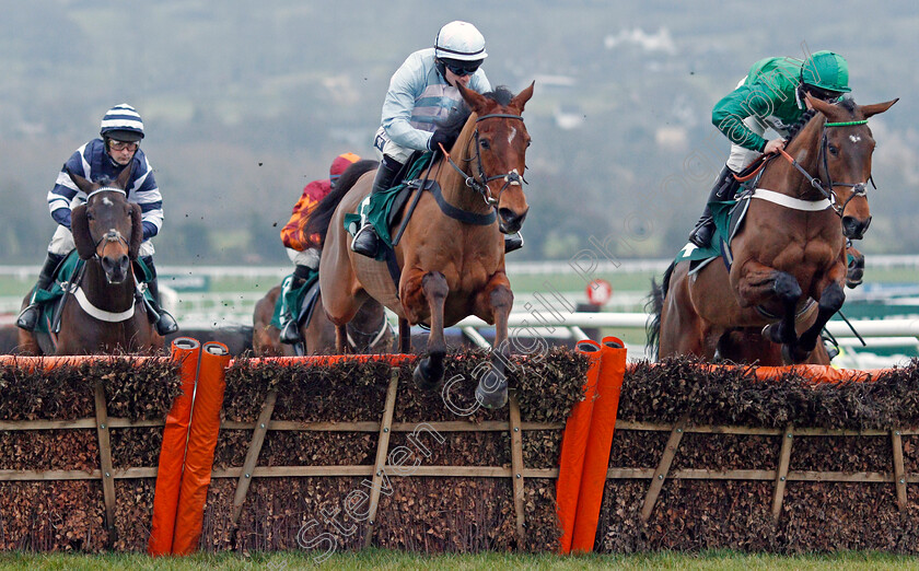 Summerville-Boy-0003 
 SUMMERVILLE BOY (Jonathan Burke) beats JANIKA (right) in The Dornan Engineering Relkeel Hurdle
Cheltenham 1 Jan 2020 - Pic Steven Cargill / Racingfotos.com