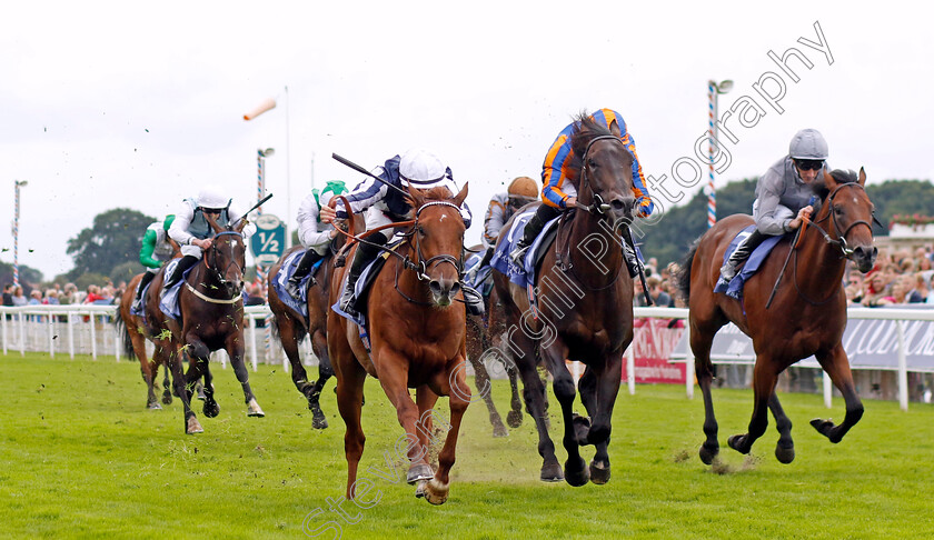 Lake-Forest-0005 
 LAKE FOREST (Tom Marquand) beats JOHANNES BRAHMS (2nd right) in The Al Basti Equiworld Gimcrack Stakes
York 25 Aug 2023 - Pic Steven Cargill / Racingfotos.com