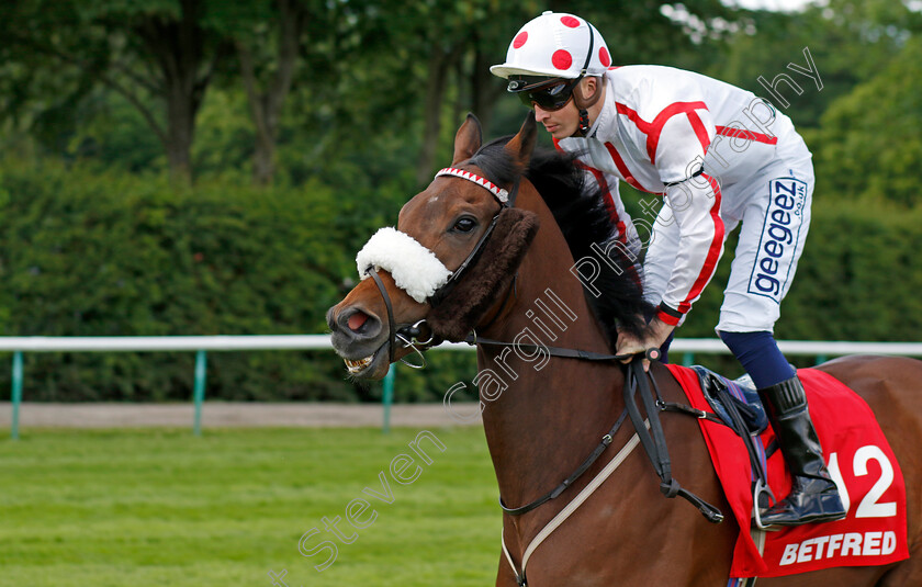 HMS-President 
 HMS PRESIDENT (David Probert)
Haydock 28 May 2022 - Pic Steven Cargill / Racingfotos.com