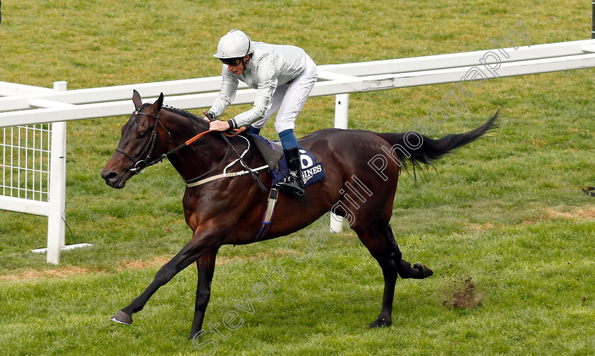 Dee-Ex-Bee-0004 
 DEE EX BEE (William Buick) wins The Longines Sagaro Stakes
Ascot 1 May 2019 - Pic Steven Cargill / Racingfotos.com