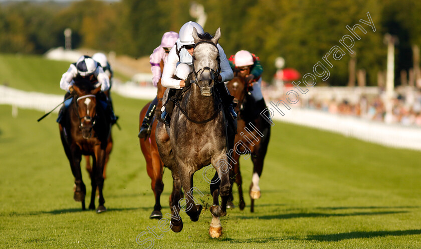 Misty-Dancer-0007 
 MISTY DANCER (Harry Burns) wins The William Hill Pick Your Places Maiden Fillies Stakes
Goodwood 26 Aug 2022 - Pic Steven Cargill / Racingfotos.com