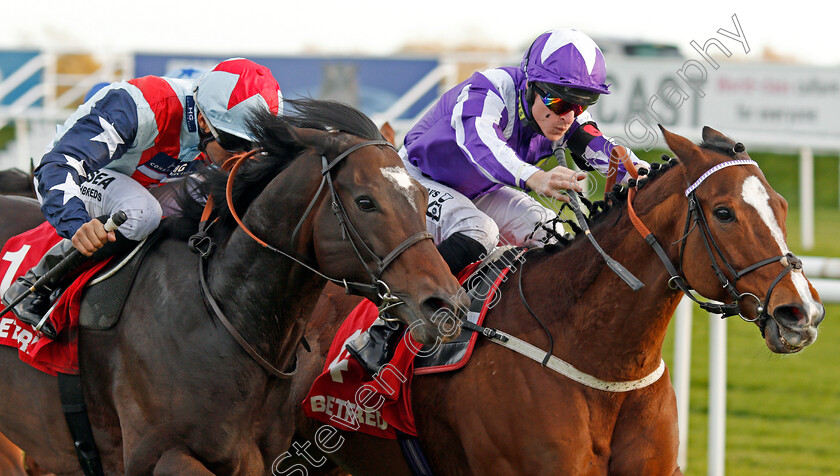 Speculative-Bid-0003 
 SPECULATIVE BID (left, Sean Levey) beats SHADY MCCOY (right) in The Betfred Supports Jack Berry House Handicap Doncaster 11 Nov 2017 - Pic Steven Cargill / Racingfotos.com