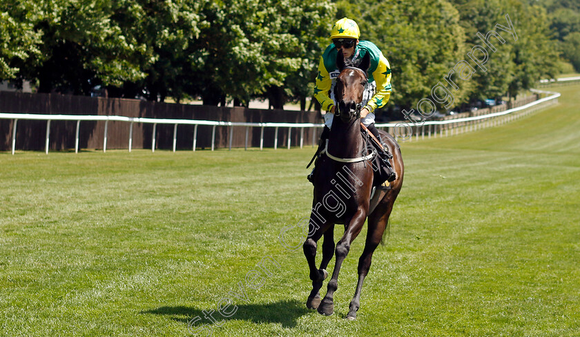 Tequila-Rose-0001 
 TEQUILA ROSE (George Wood)
Newmarket 29 Jun 2024 - Pic Steven Cargill / Racingfotos.com