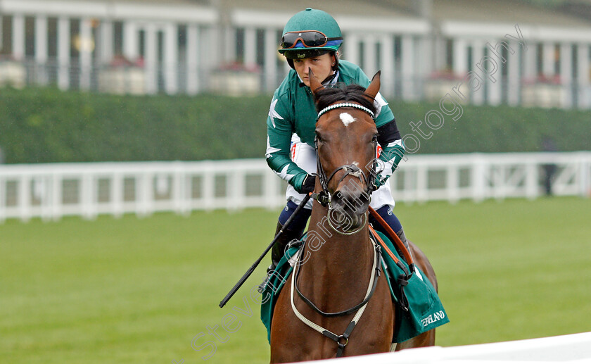 Nazanin-0001 
 NAZANIN (Hollie Doyle)
Ascot 24 Jul 2021 - Pic Steven Cargill / Racingfotos.com