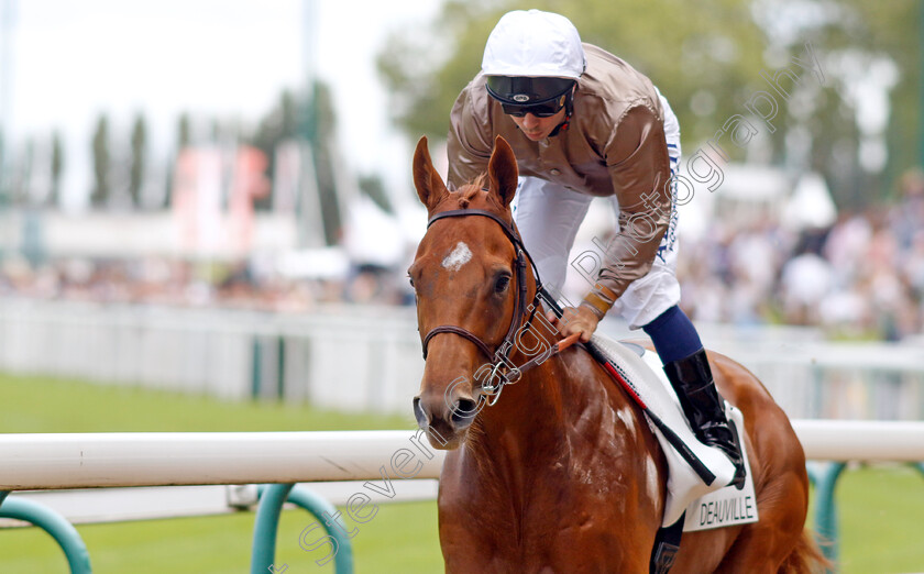 Track-Of-Time-0001 
 TRACK OF TIME (Mickael Barzalona)
Deauville 13 Aug 2023 - Pic Steven Cargill / Racingfotos.com