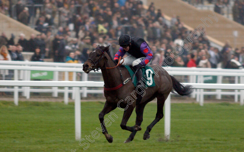 Back-On-The-Lash-0002 
 BACK ON THE LASH (Jonathan Burke) wins The Steel Plate And Sections Handicap Hurdle
Cheltenham 25 Jan 2020 - Pic Steven Cargill / Racingfotos.com