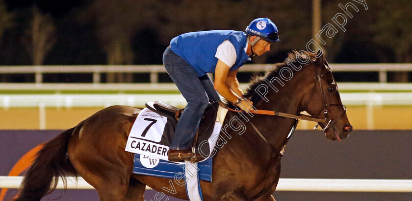 Cazadero-0001 
 CAZADERO training for The Al Quoz Sprint
Meydan, Dubai, 22 Mar 2023 - Pic Steven Cargill / Racingfotos.com