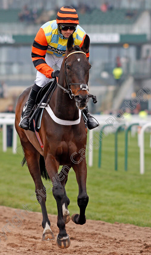 Might-Bite-0001 
 MIGHT BITE (Nico de Boinville) winner of The Betway Bowl Chase Aintree 12 Apr 2018 - Pic Steven Cargill / Racingfotos.com