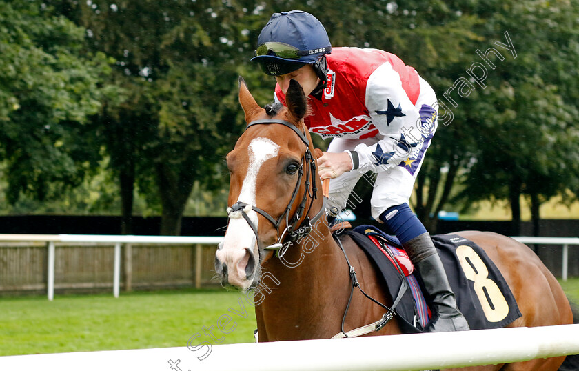 Kentucky-Bluegrass-0001 
 KENTUCKY BLUEGRASS (Daniel Muscutt)
Newmarket 5 Aug 2023 - Pic Steven Cargill / Racingfotos.com