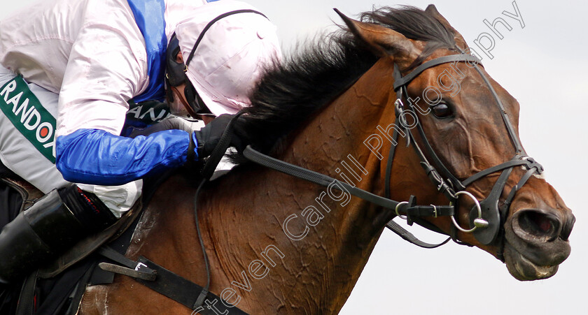 West-Balboa-0004 
 WEST BALBOA (Harry Skelton) wins The Village Hotels Handicap Hurdle
Aintree 15 Apr 2023 - Pic Steven Cargill / Racingfotos.com