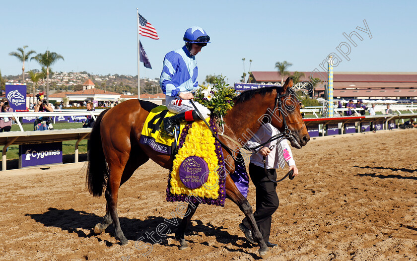 Magnum-Force-0009 
 MAGNUM FORCE (Colin Keane) winner of the Breeders' Cup Juvenile Turf Sprint
Del Mar USA 1 Nov 2024 - Pic Steven Cargill / Racingfotos.com