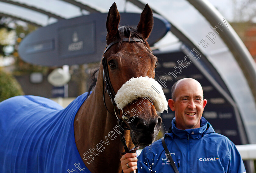 First-Confession-0005 
 FIRST CONFESSION winner of The Safer Gambling Week National Hunt Maiden Hurdle
Ascot 22 Nov 2024 - Pic Steven Cargill / Racingfotos.com