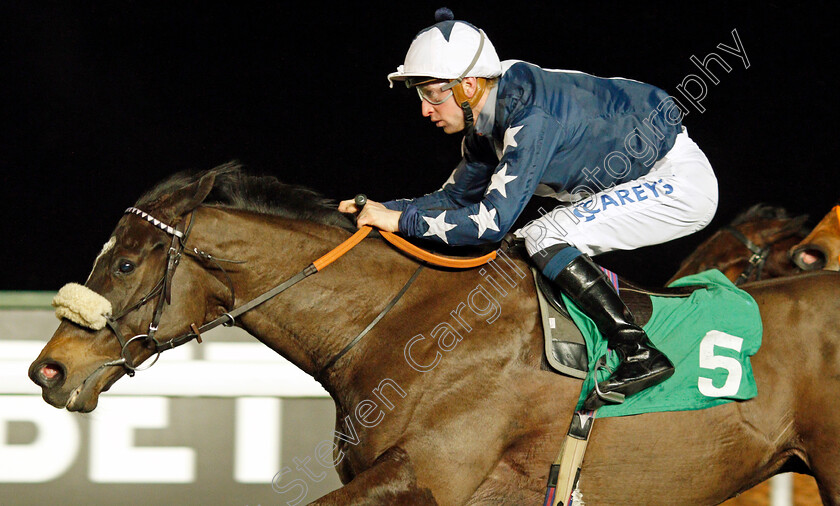 Independence-Day-0004 
 INDEPENDENCE DAY (Joey Haynes) wins The Happy 4th Birthday Alexandra Ford Classified Stakes
Kempton 16 Feb 2022 - Pic Steven Cargill / Racingfotos.com