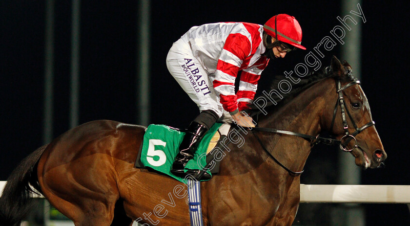 Sinjaari-0001 
 SINJAARI (Tom Marquand)
Kempton 2 Dec 2020 - Pic Steven Cargill / Racingfotos.com