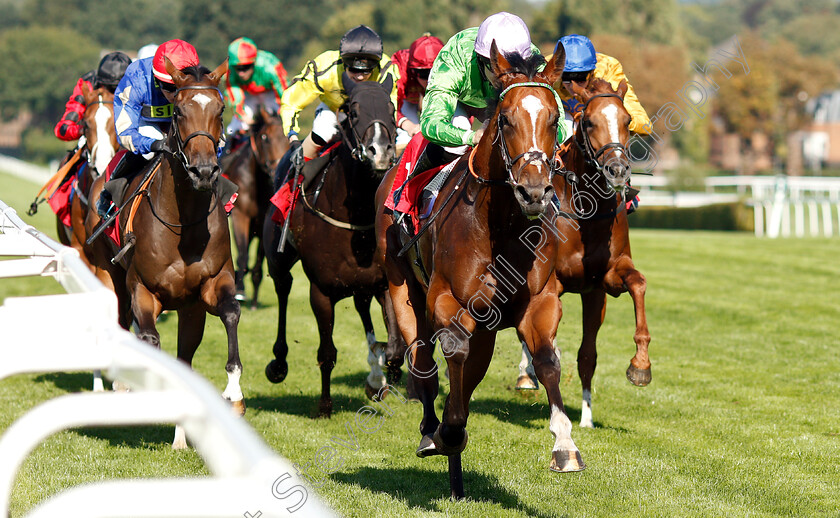 Barristan-The-Bold-0004 
 BARRISTAN THE BOLD (Richard Kingscote) wins The 188bet Supports The NSPCC Nursery
Sandown 1 Sep 2018 - Pic Steven Cargill / Racingfotos.com