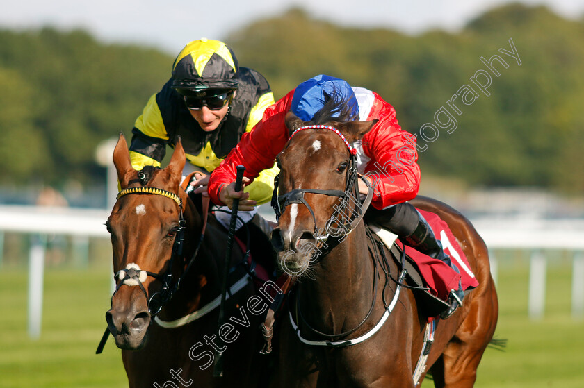 Persist-0001 
 PERSIST (right, Tom Marquand) wins The British EBF Reprocolor Premier Fillies Handicap
Haydock 1 Sep 2022 - Pic Steven Cargill / Racingfotos.com