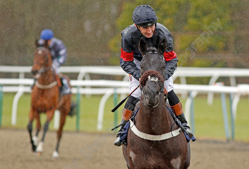 Pack-It-In-0001 
 PACK IT IN (Dougie Costello) Lingfield 13 Dec 2017 - Pic Steven Cargill / Racingfotos.com