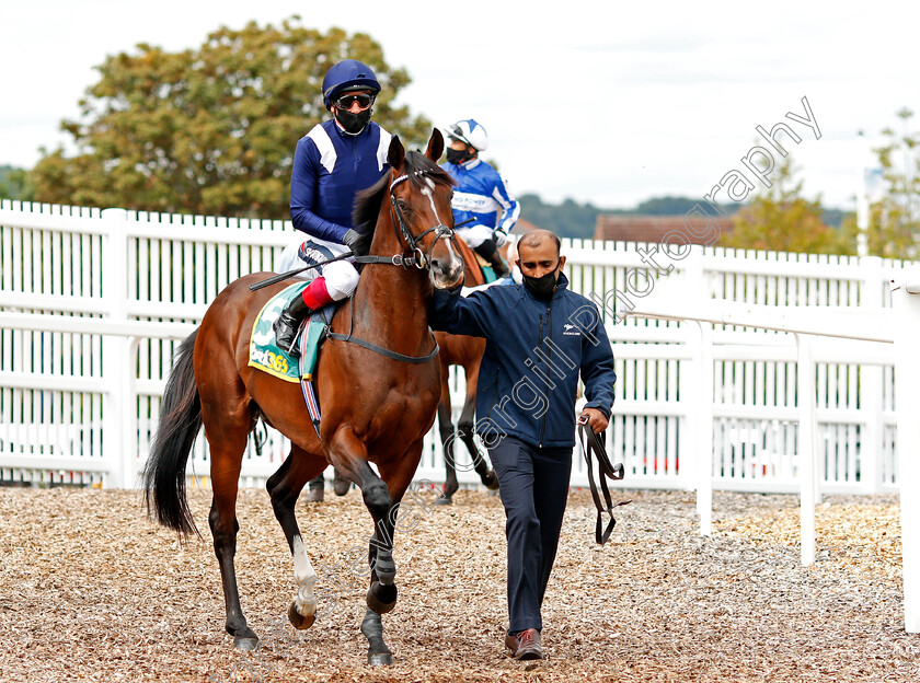 Global-Giant-0001 
 GLOBAL GIANT (Frankie Dettori) winner of The bet365 Steventon Stakes
Newbury 19 Jul 2020 - Pic Steven Cargill / Racingfotos.com