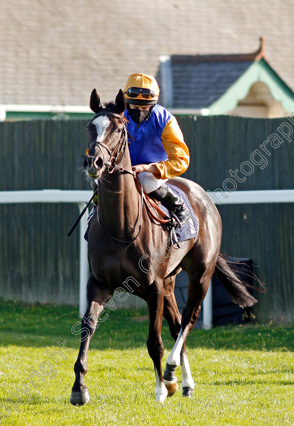 Ville-De-Grace-0001 
 VILLE DE GRACE (Ryan Moore)
Yarmouth 17 Sep 2020 - Pic Stevn Cargill / Racingfotos.com