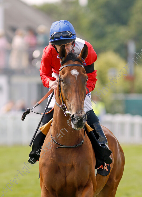 Potapova-0003 
 POTAPOVA (Ryan Moore)
Epsom 4 Jun 2022 - Pic Steven Cargill / Racingfotos.com