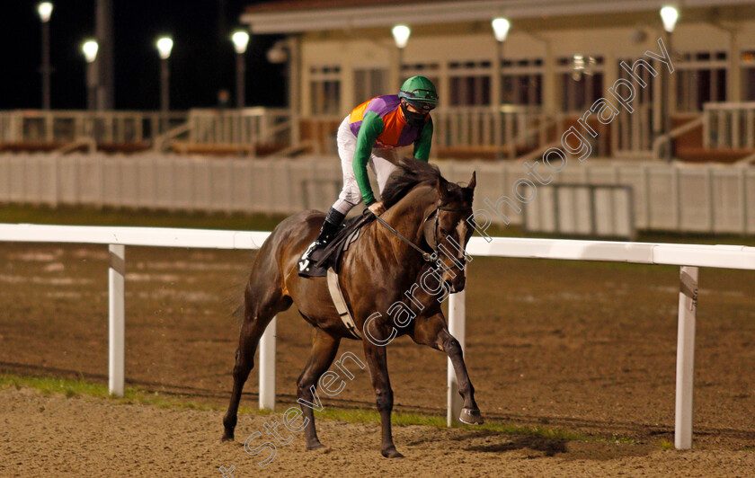 Daschas-0001 
 DASCHAS (Richard Kingscote)
Chelmsford 8 Oct 2020 - Pic Steven Cargill / Racingfotos.com