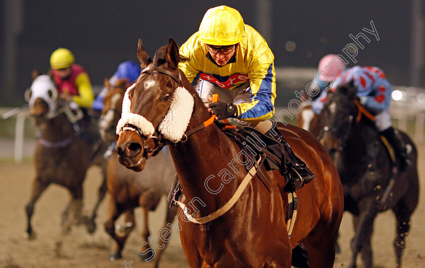 Full-Intention-0005 
 FULL INTENTION (David Probert) wins The tote.co.uk Handicap
Chelmsford 27 Nov 2020 - Pic Steven Cargill / Racingfotos.com