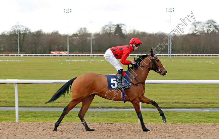 High-Seas-0001 
 HIGH SEAS (Jack Mitchell) Wolverhampton 4 Jan 2018 - Pic Steven Cargill / Racingfotos.com