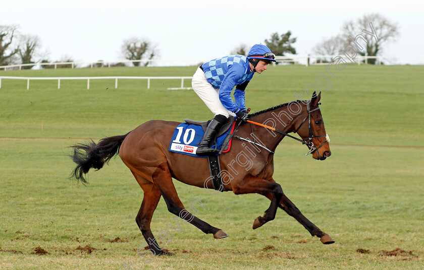 Western-Model-0001 
 WESTERN MODEL (Sean O'Keeffe)
Punchestown 12 Jan 2025 - Pic Steven Cargill / Racingfotos.com