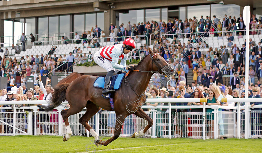 Borntobealeader-0004 
 BORNTOBEALEADER (Sean Levey) wins The William Hill Selling Stakes
Goodwood 28 Aug 2022 - Pic Steven Cargill / Racingfotos.com