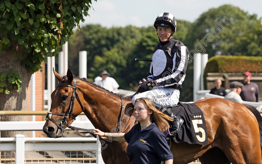 Dance-And-Romance-0008 
 DANCE AND ROMANCE (James Doyle) winner of The Rhino.bet Proudly Sponsor Josephine Gordon Handicap
Nottingham 19 Jul 2024 - Pic Steven Cargill / Megan Dent / Racingfotos.com