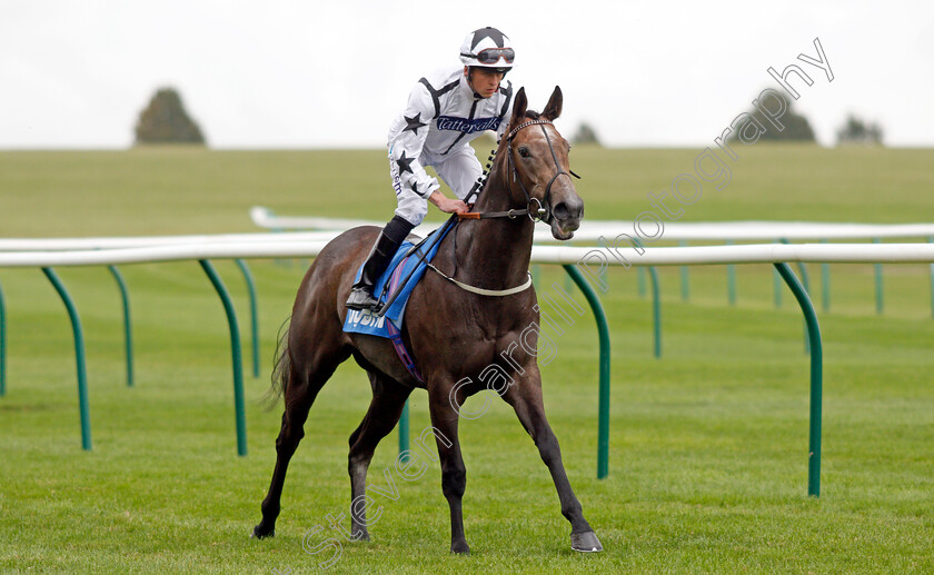 Guilded 
 GUILDED (Clifford Lee)
Newmarket 8 Oct 2021 - Pic Steven Cargill / Racingfotos.com