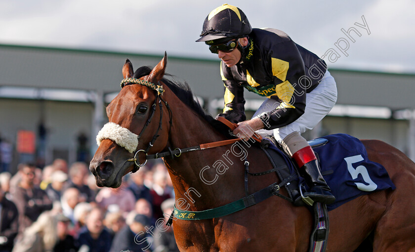 Rayna s-World-0005 
 RAYNA'S WORLD (Jimmy Quinn) wins The Vince Sullivan Memorial Nursery Yarmouth 19 Sep 2017 - Pic Steven Cargill / Racingfotos.com