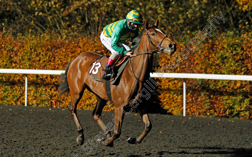 Positano-0001 
 POSITANO (Andrea Atzeni)
Kempton 11 Nov 2020 - Pic Steven Cargill / Racingfotos.com