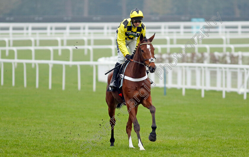 Lulamba-0007 
 LULAMBA (Nico de Boinville) winner of the Betmgm Juvenile Hurdle
Ascot 18 Jan 2025 - Pic Steven Cargill / Racingfotos.com