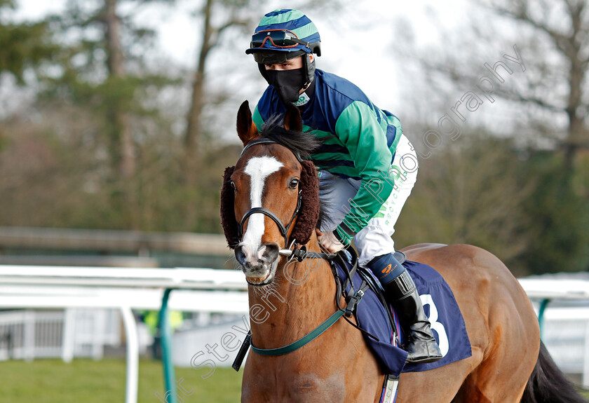 Emirati-Dirham-0001 
 EMIRATI DIRHAM (Jason Hart)
Lingfield 27 Feb 2021 - Pic Steven Cargill / Racingfotos.com