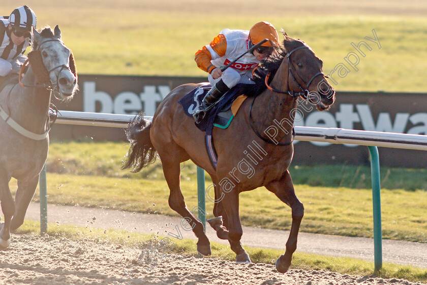 Royal-Dynasty-0002 
 ROYAL DYNASTY (Jason Hart) wins The Betway Handicap
Lingfield 8 Feb 2020 - Pic Steven Cargill / Racingfotos.com