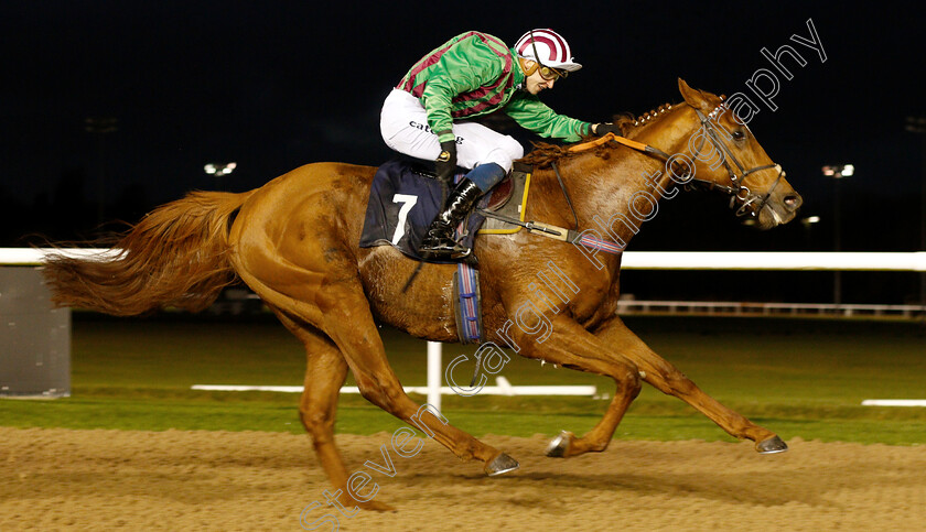 Greatest-Journey-0005 
 GREATEST JOURNEY (Alistair Rawlinson) wins The Play 4toscore At Betway Handicap
Wolverhampton 28 Nov 2018 - Pic Steven Cargill / Racingfotos.com