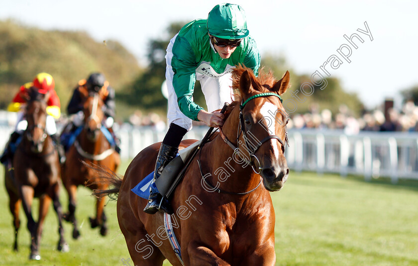 Senza-Limiti-0007 
 SENZA LIMITI (James Doyle) wins The Radcliffe & Co EBF Novice Stakes Div1
Salisbury 3 Oct 2018 - Pic Steven Cargill / Racingfotos.com