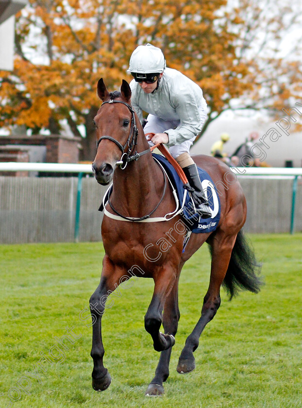 Trumpet-Man-0001 
 TRUMPET MAN (Joe Fanning)
Newmarket 23 Oct 2019 - Pic Steven Cargill / Racingfotos.com