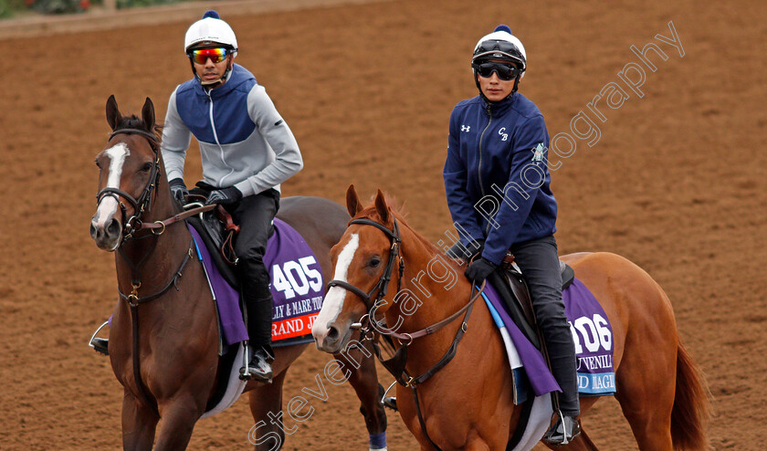 Good-Magic-and-Grand-Jete-0001 
 GOOD MAGIC (right) exercising at Del Mar USA in preparation for The Breeders' Cup Juvenile with GRAND JETE (left) preparing for The Filly & Mare Turf 30 Oct 2017 - Pic Steven Cargill / Racingfotos.com